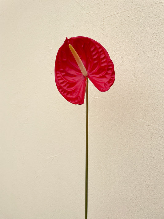 Bunch of 3 Red Anthurium