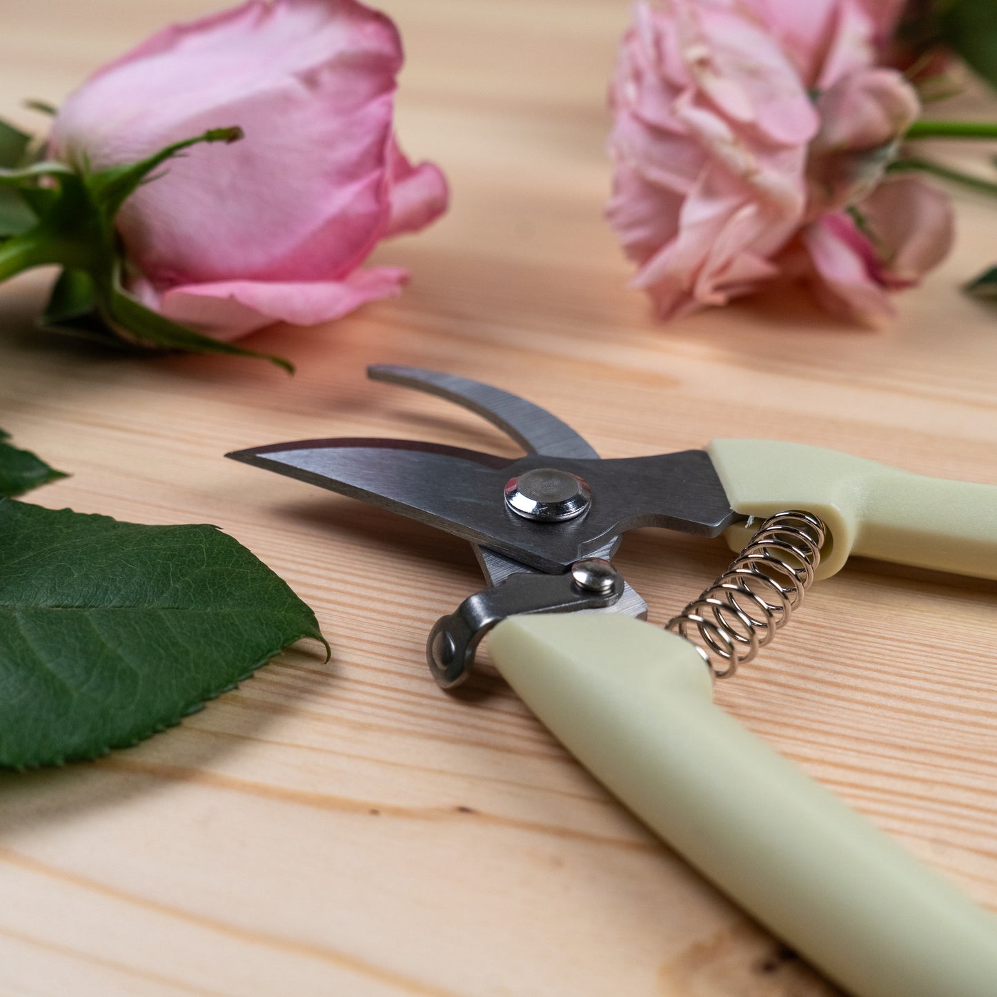 Shears