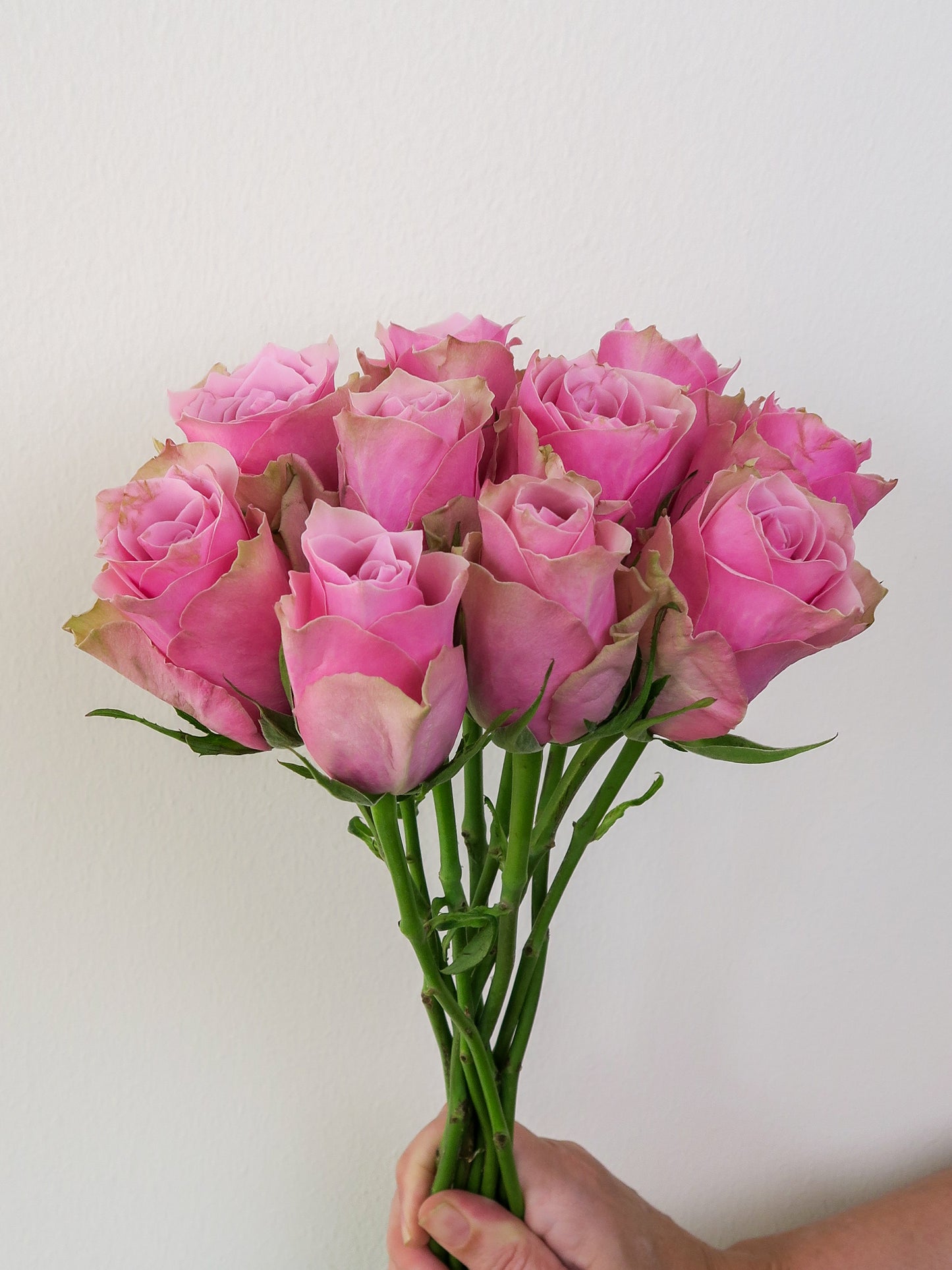 Bunch of 10 Pink Roses