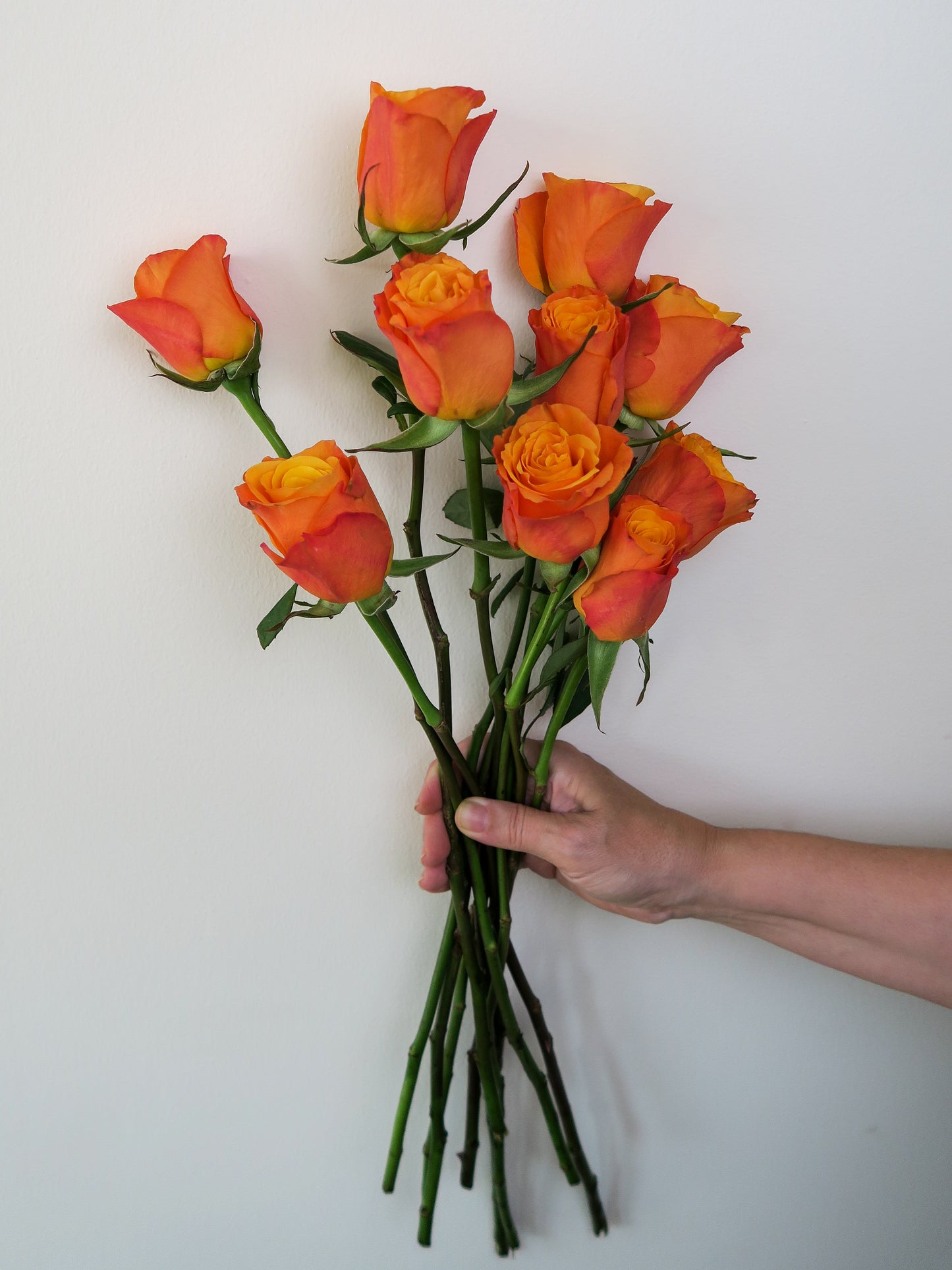 Bunch of 10 Orange Roses