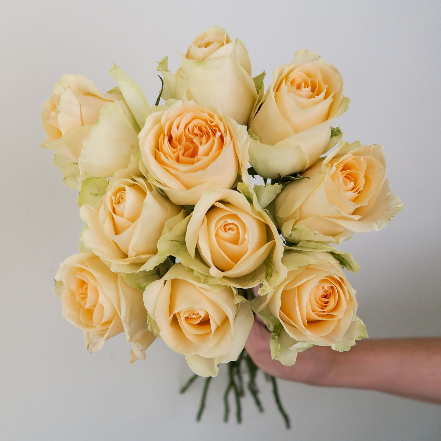 Bunch of 10 Peach Roses