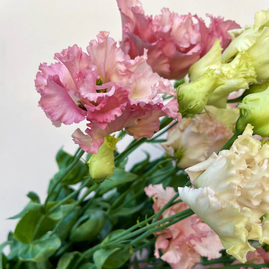 Bunch of Pink Lisianthus