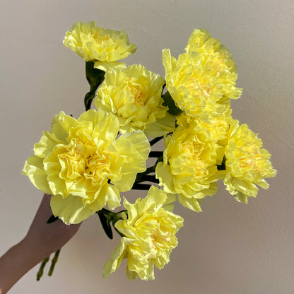 Bunch of 10 Carnations Yellow