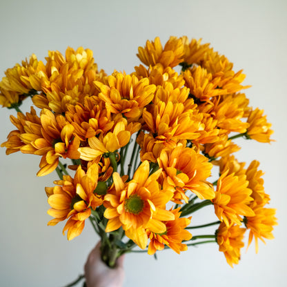 Bunch of 10 Orange Spray Chrysanthemums