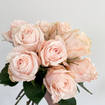 Bunch of 10 Light Pink Roses