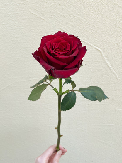 باقة من 20 روز احمر - افير ريد