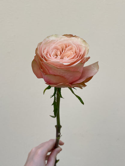 Bunch of 8 Kahala Roses