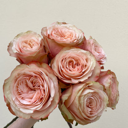 Bunch of 8 Kahala Roses