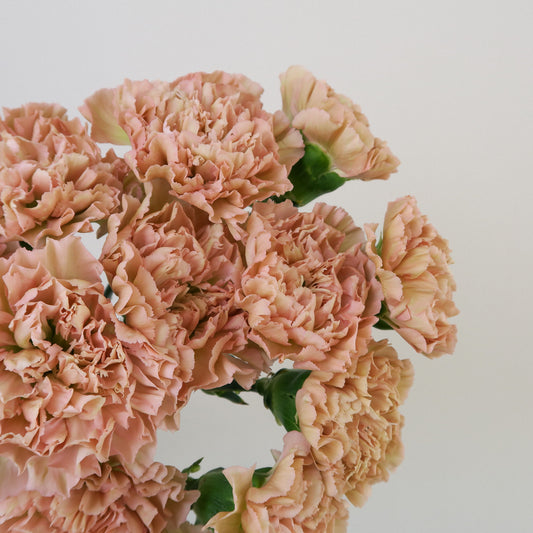 Bunch of 10 Peach Carnations