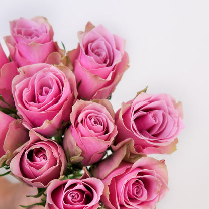 Bunch of 10 Pink Roses