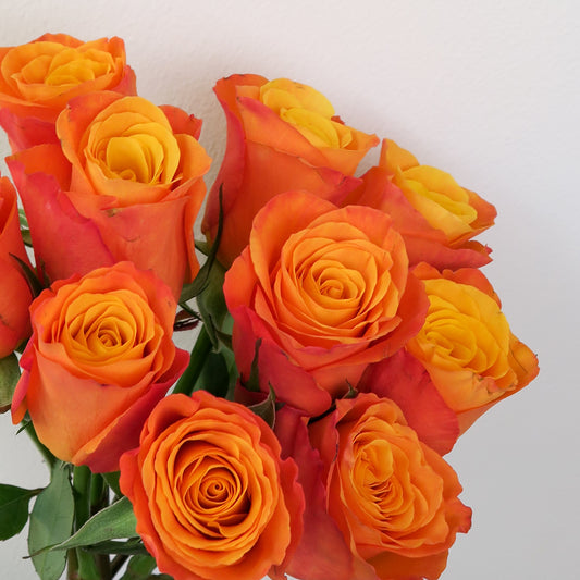 Bunch of 10 Orange Roses