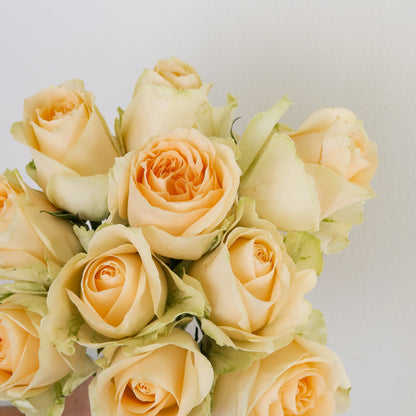 Bunch of 10 Peach Roses