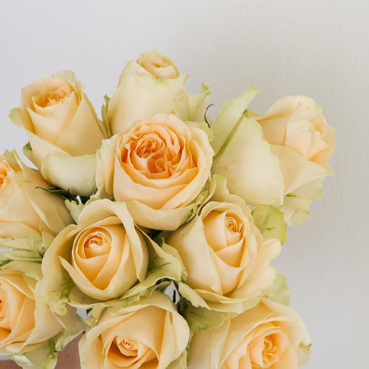 Bunch of 10 Peach Roses