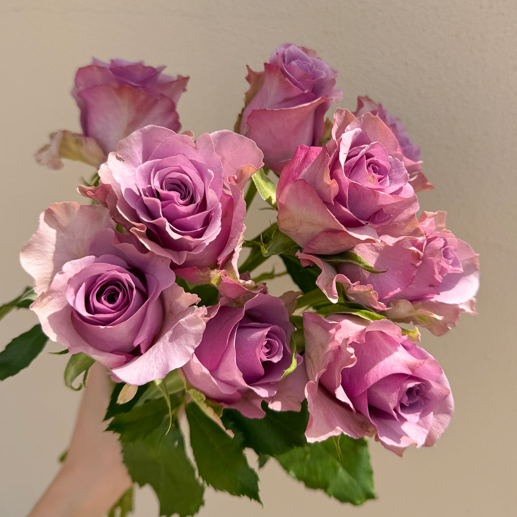 Bunch of 10 Roses Purple