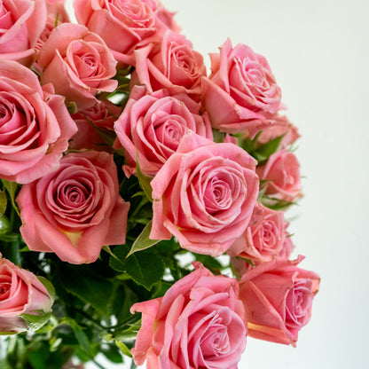 Bunch of 10 Pink Spray Roses