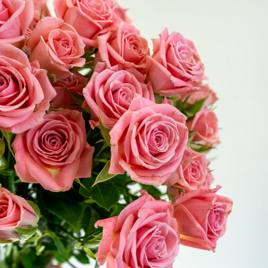 Bunch of 10 Pink Spray Roses