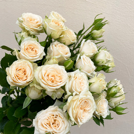 Bunch of 10 Pale Yellow Spray Roses