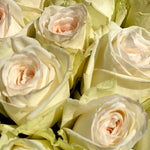 Florist Choice of 10 Garden Roses