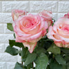 Bunch of 10 Joyce Roses