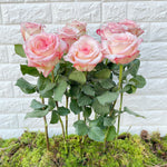 Bunch of 10 Joyce Roses