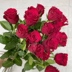 Bunch of 20 Upperclass Roses