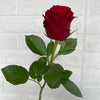 Bunch of 20 Upperclass Roses