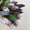 Bunch of 10 Tulips Brownie