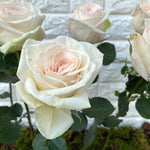 Bunch of 10 Ohara White Roses