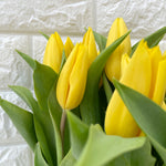 Bunch of 20 Yellow Tulips